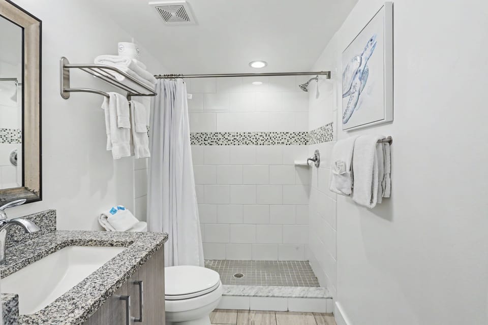 Guest Bathroom with Walk in Shower