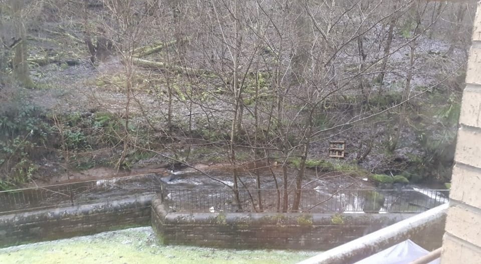 View from property