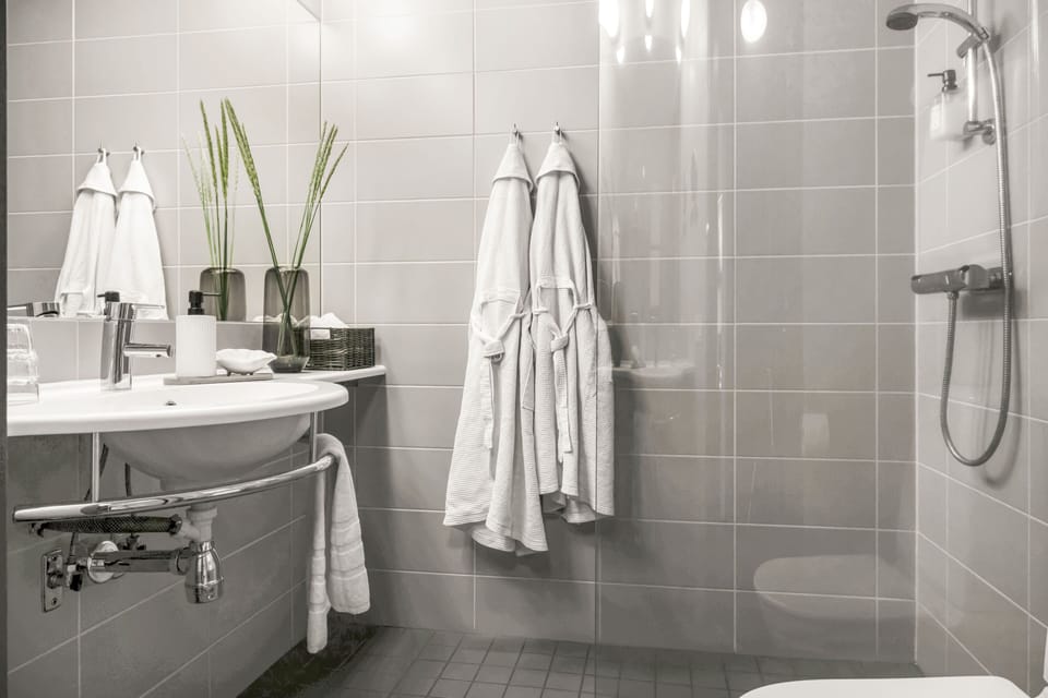 Shower, free toiletries, hair dryer, towels