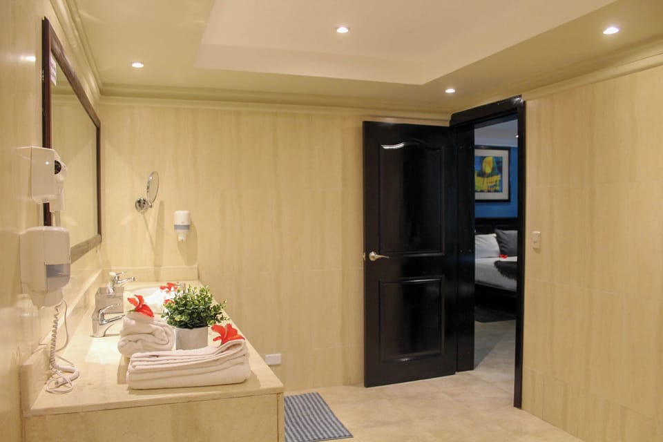 Deluxe Suite | Bathroom | Shower, hair dryer, towels, soap