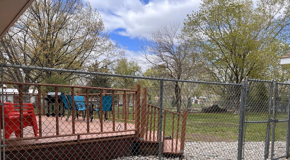 6 foot fenced in backyard. 