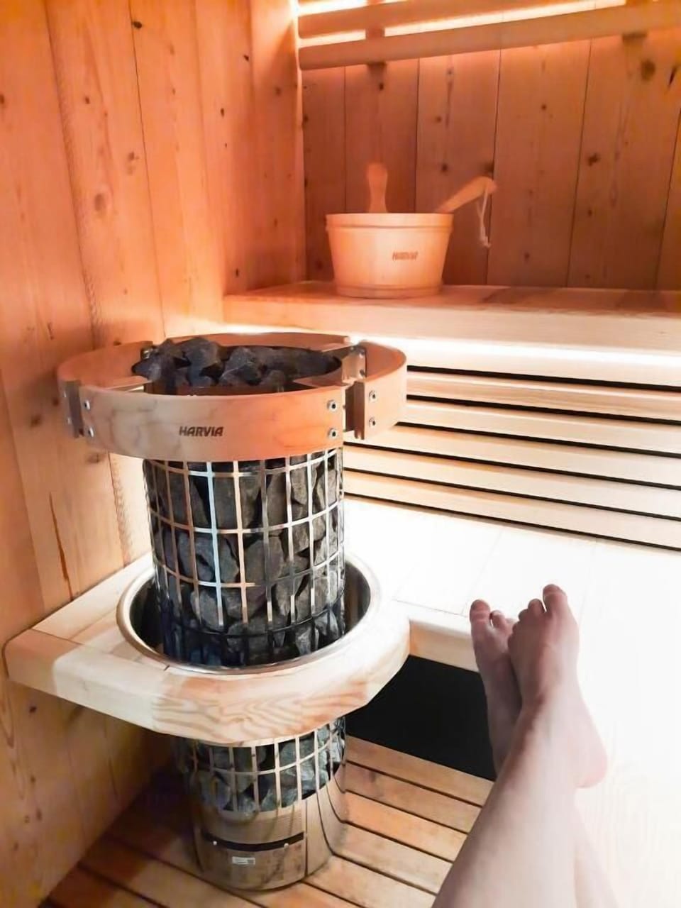 Le Cottage du Parc Bed and Breakfast in Auvergne-Rhône-Alpes