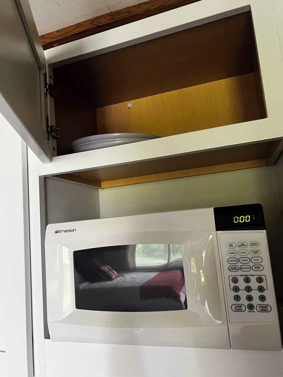 Microwave and plates