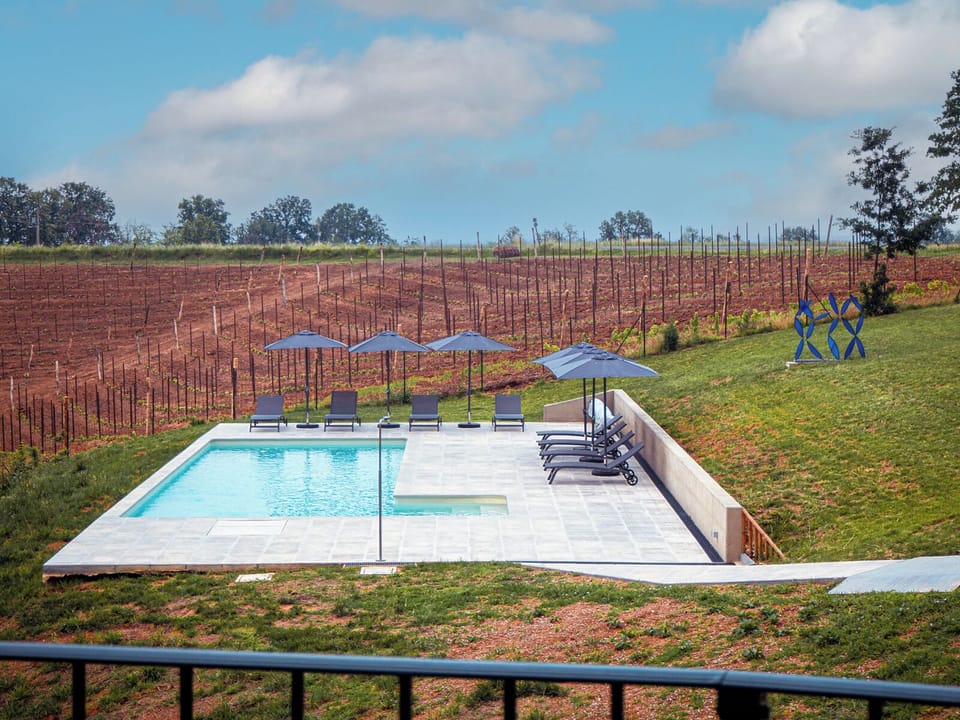 Pool in Tenuta CostaRossa vineyard