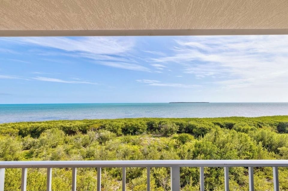 Balcony in the living room 
