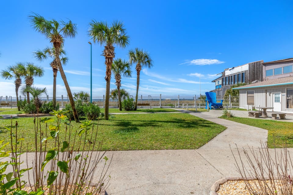 View from Patio
