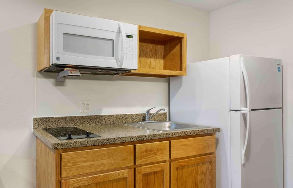 Full-size fridge, microwave, stovetop, freezer