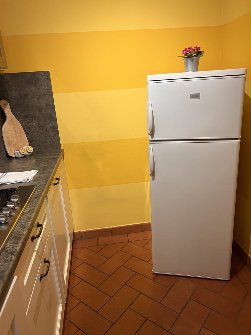 Deluxe Apartment | Private kitchen | Fridge, microwave