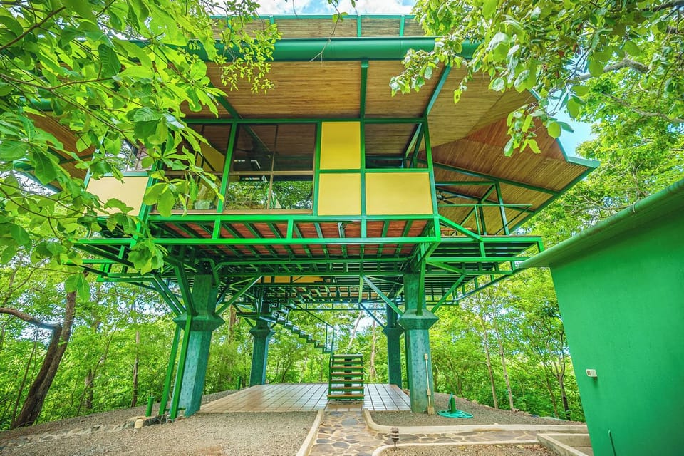 The Tree House