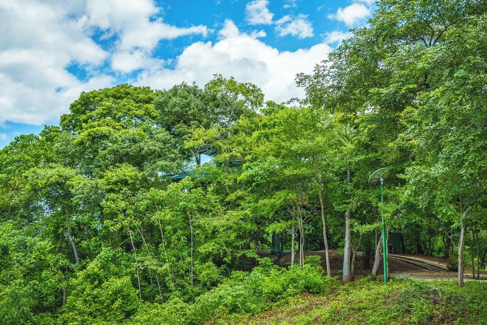 Privacy and relaxation come with the tree house's spectacular location
