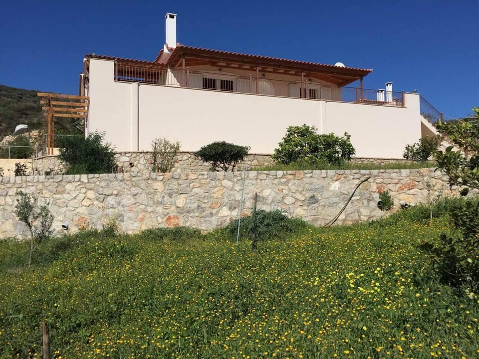 House | Exterior