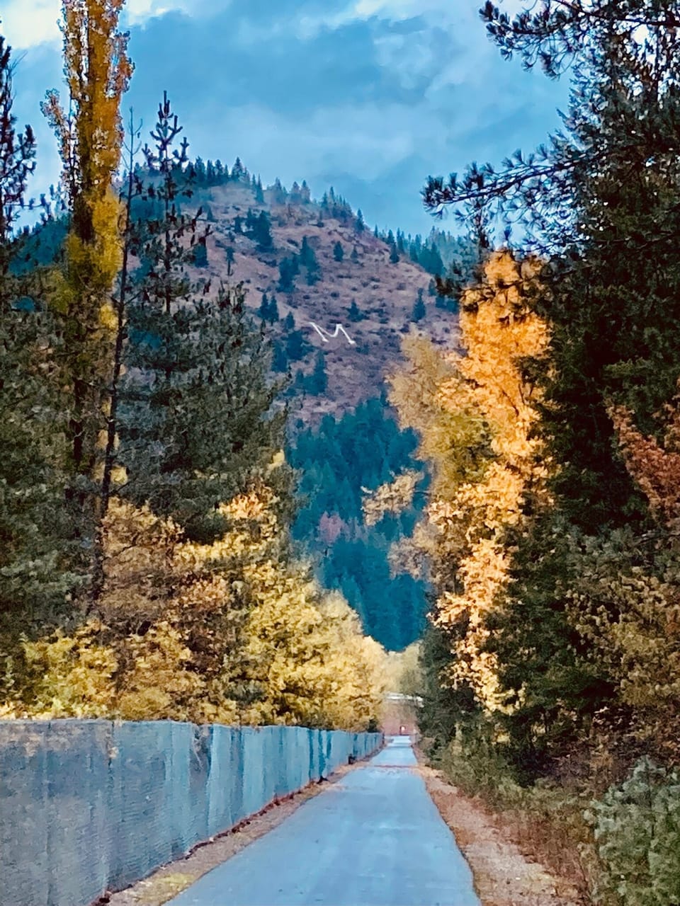 View of the mountains from the nearby Trail of the Coeur D'Alenes.