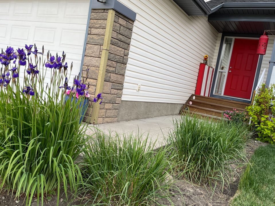 Front yard