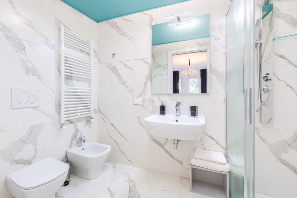 Hair dryer, bidet, towels