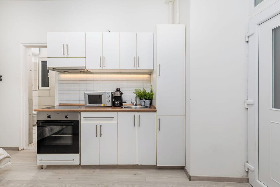 Classic Apartment | Private kitchen | Fridge, microwave, oven, stovetop
