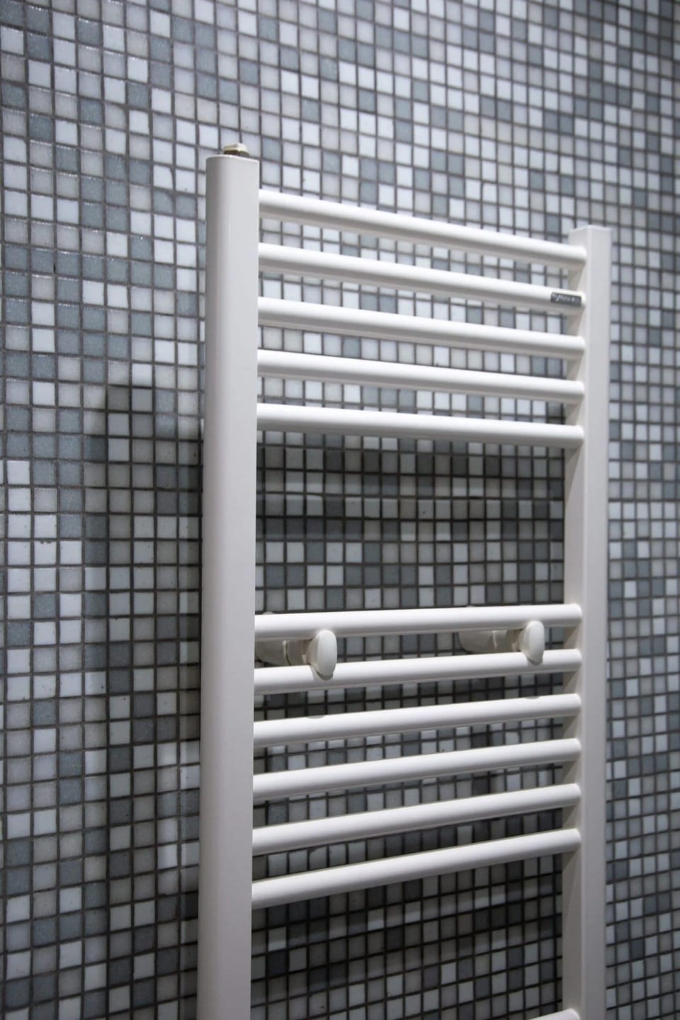 Shower, bathrobes, bidet, towels