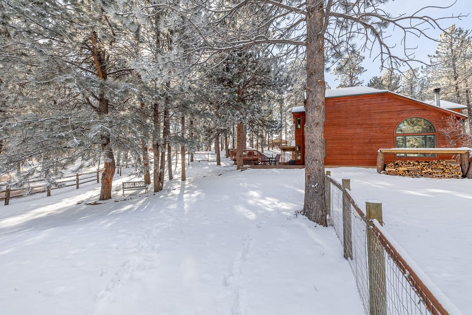 Large yard for you to enjoy- fully fenced for your dogs! 