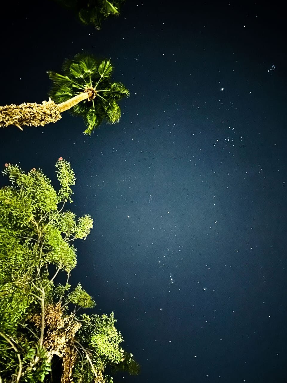 In the winter sky you see Orion right from our patio! The night sky picture has 