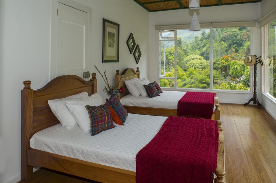 Design Suite | Individually decorated, free WiFi
