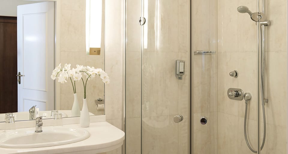 Shower, hair dryer, towels