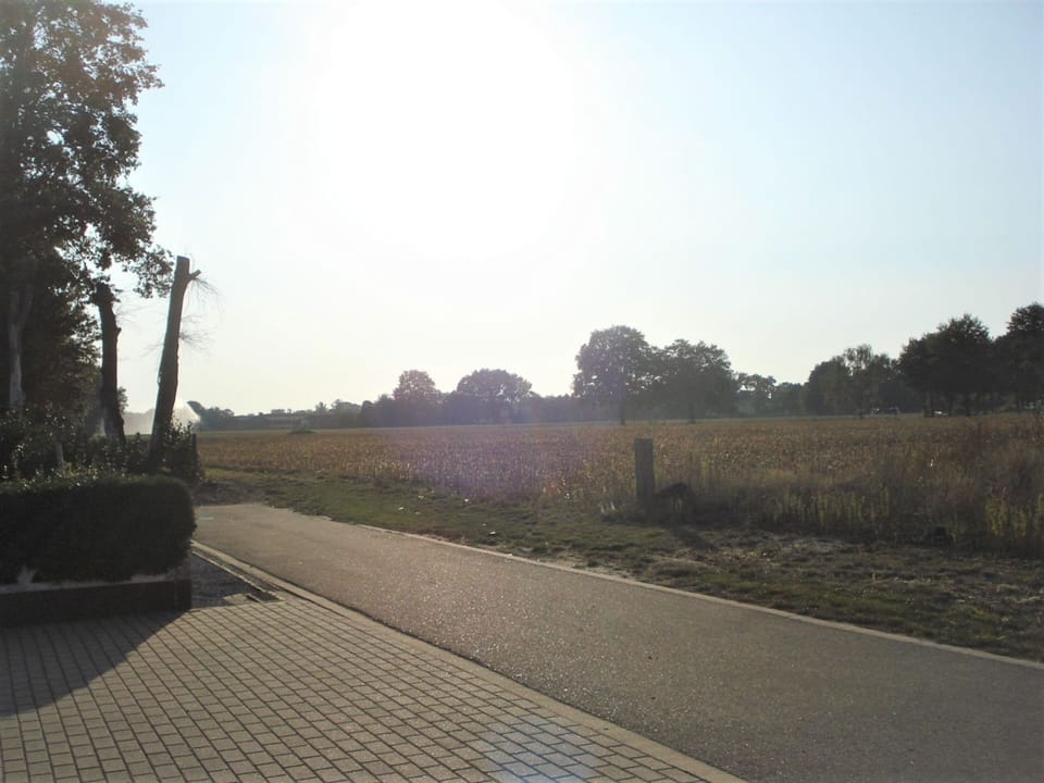 House | View from property