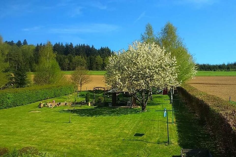 House | View from property
