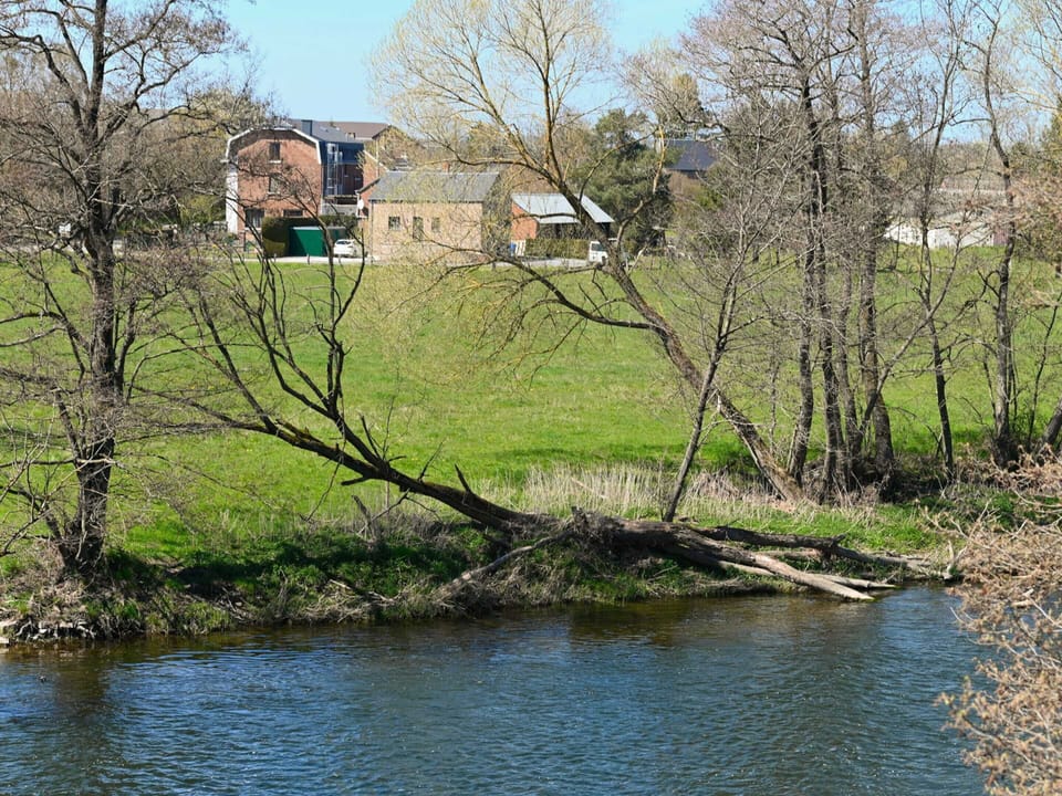 House | View from property