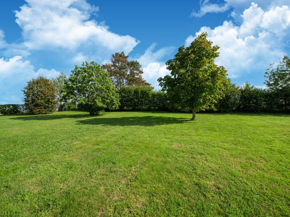 House | View from property