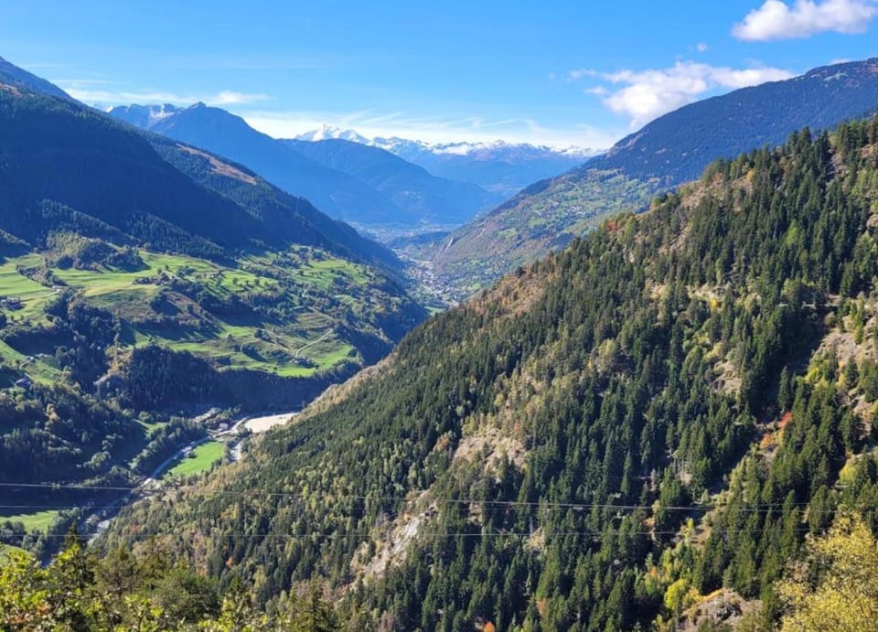 Chalet | View from property