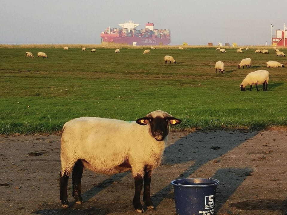 Apartment | View from property