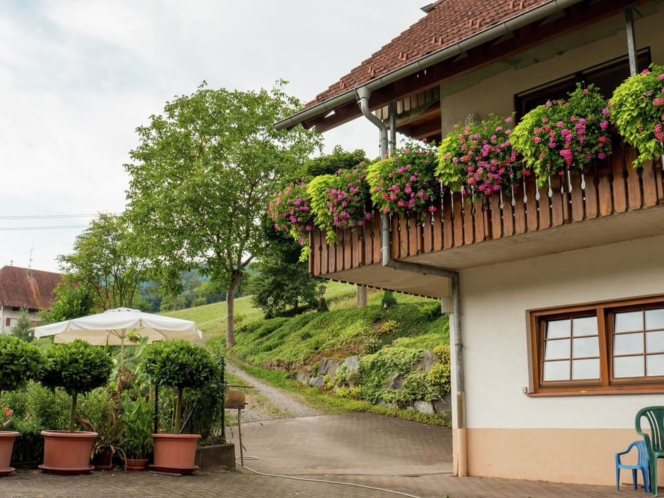 House | Exterior