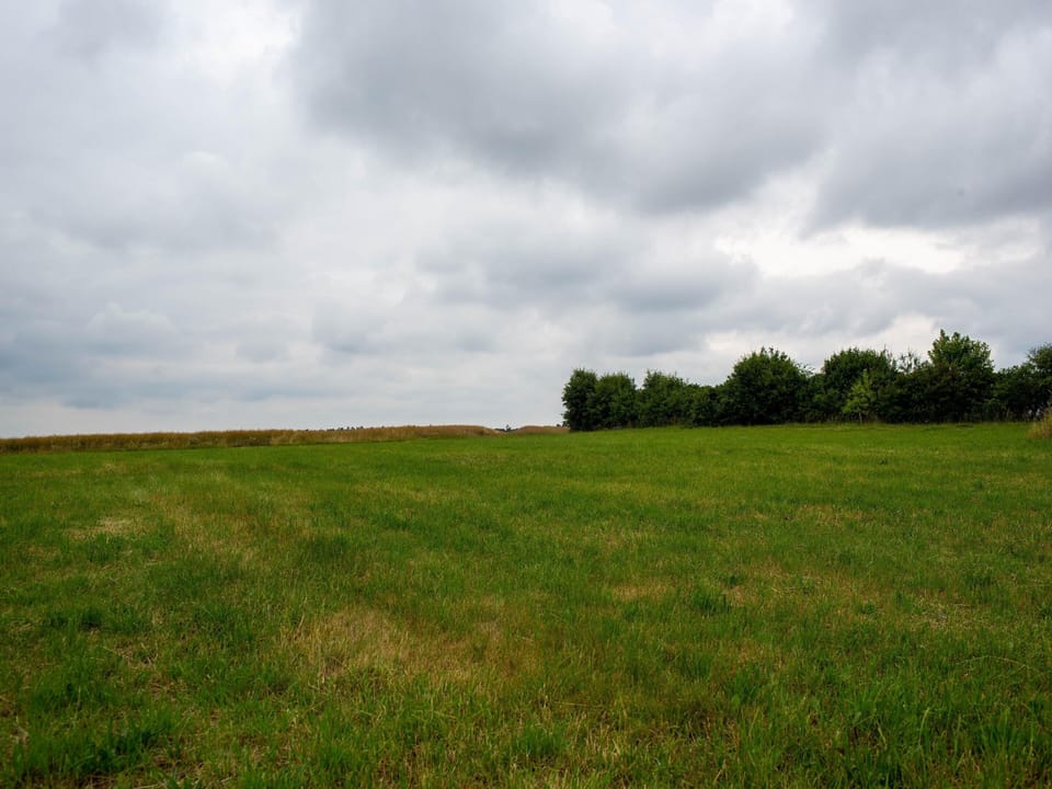 House | View from property