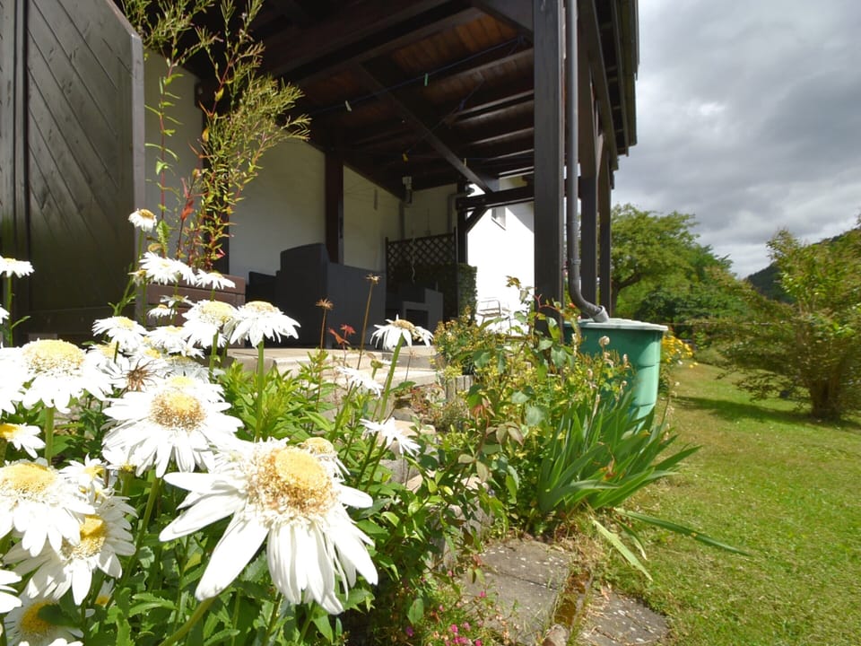 House | Garden