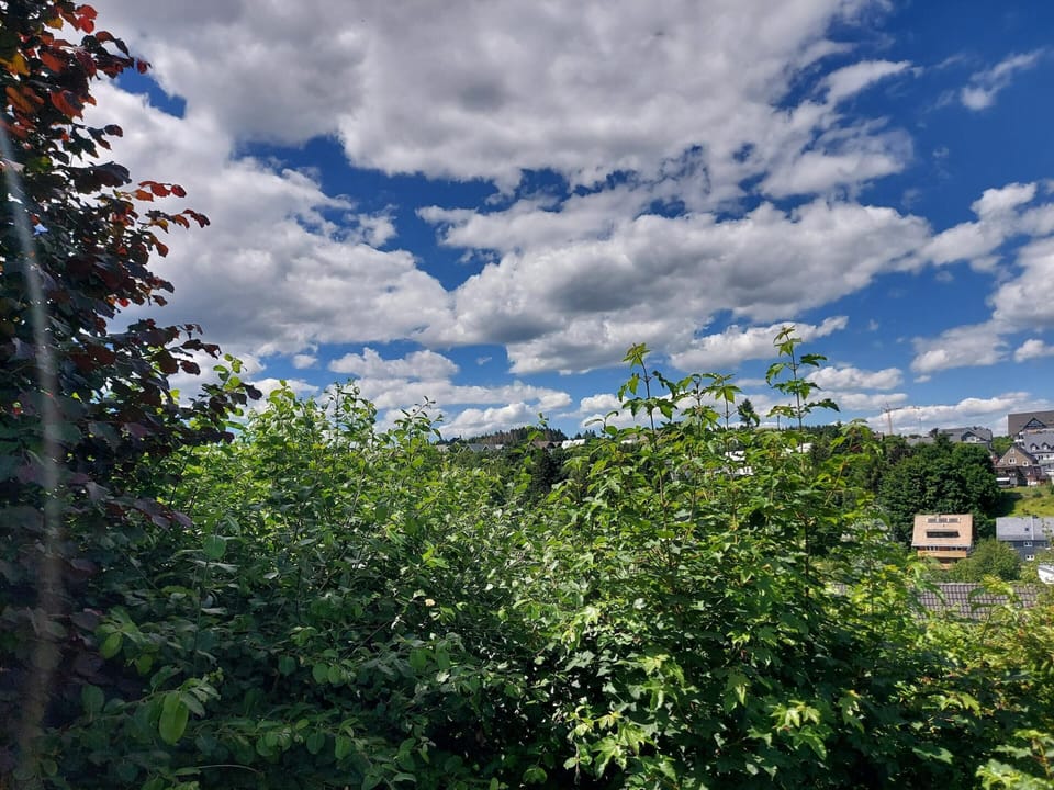 Apartment | View from property