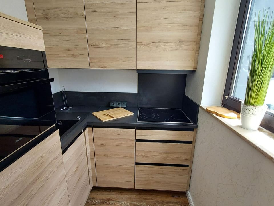 Apartment | Private kitchen | Microwave, stovetop