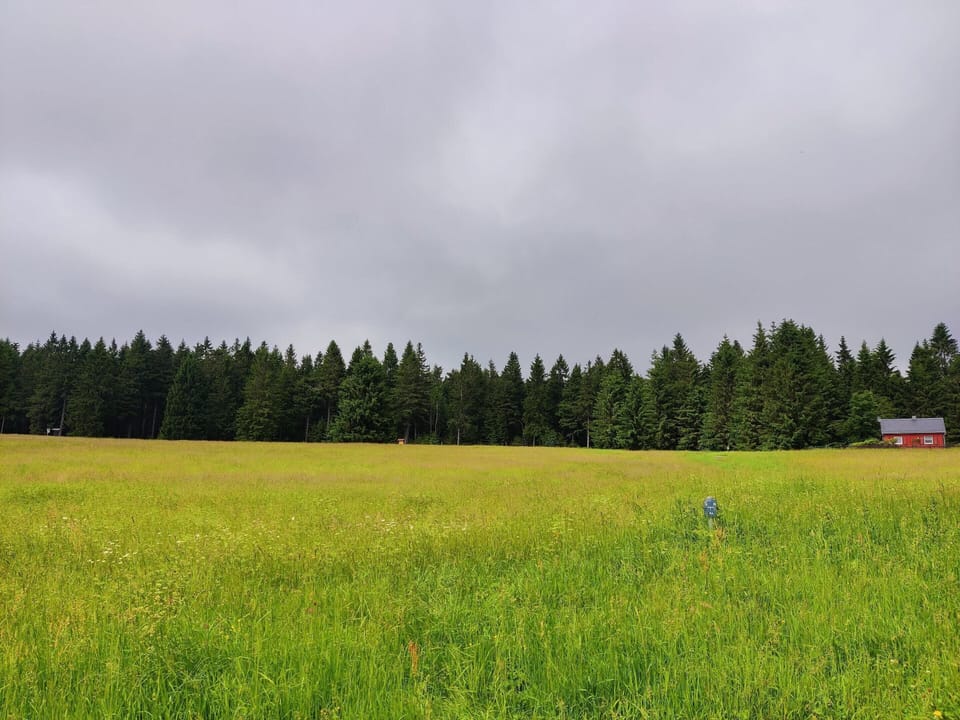 House | View from property