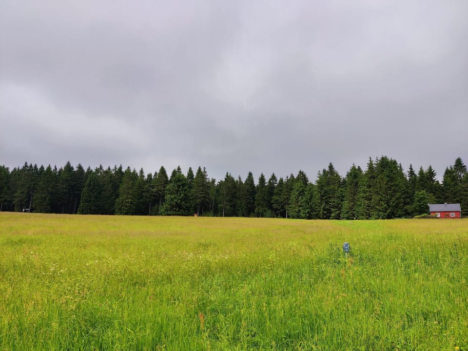 House | View from property