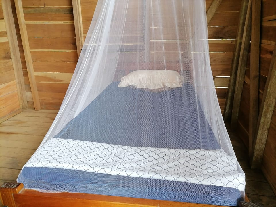 Traditional Room, 1 Bedroom | WiFi (free)