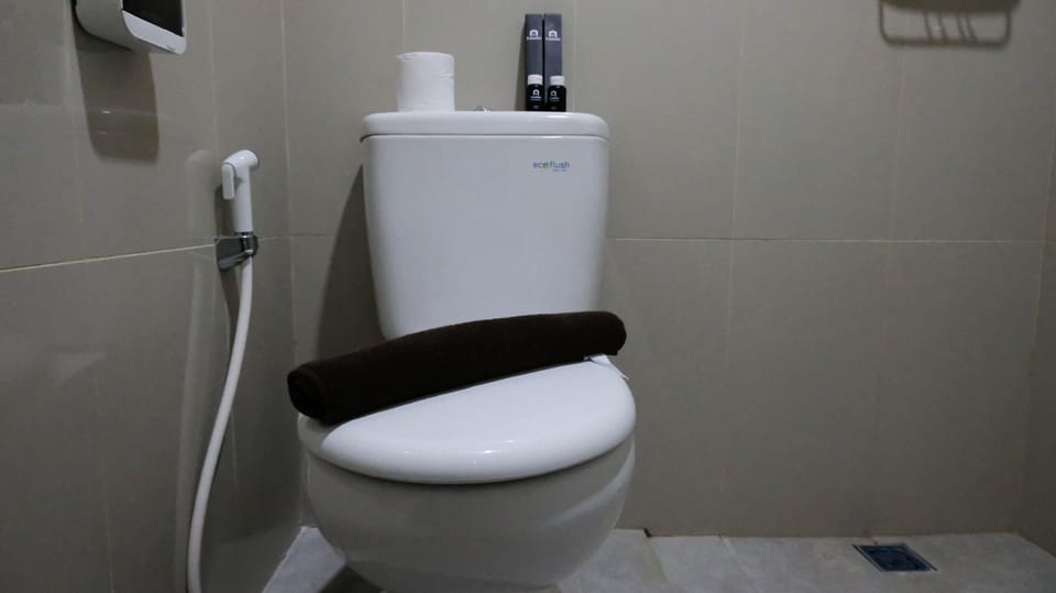 Deluxe Apartment | Bathroom | Shower, towels