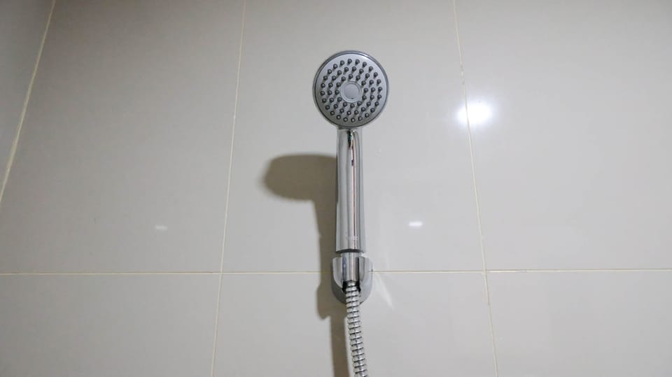 Deluxe Apartment | Bathroom | Shower, towels