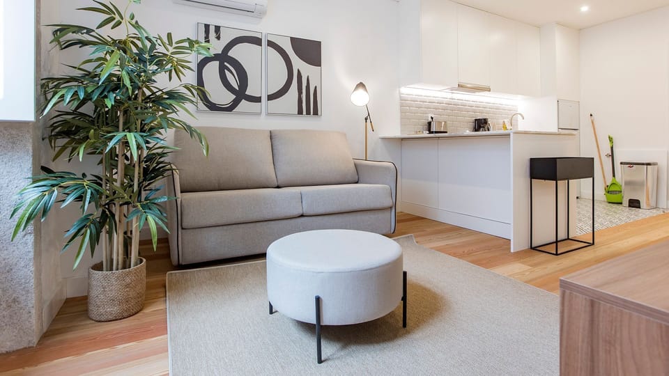 Modern design and living space containing sofa, plant pot, painting and rug.