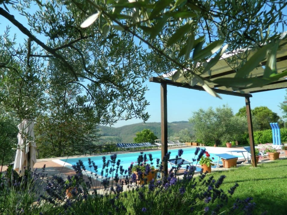 House | Pool | Outdoor pool
