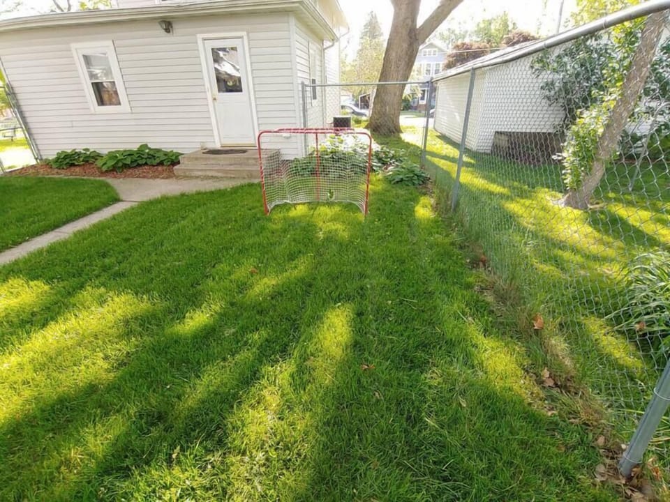 Backyard (1)