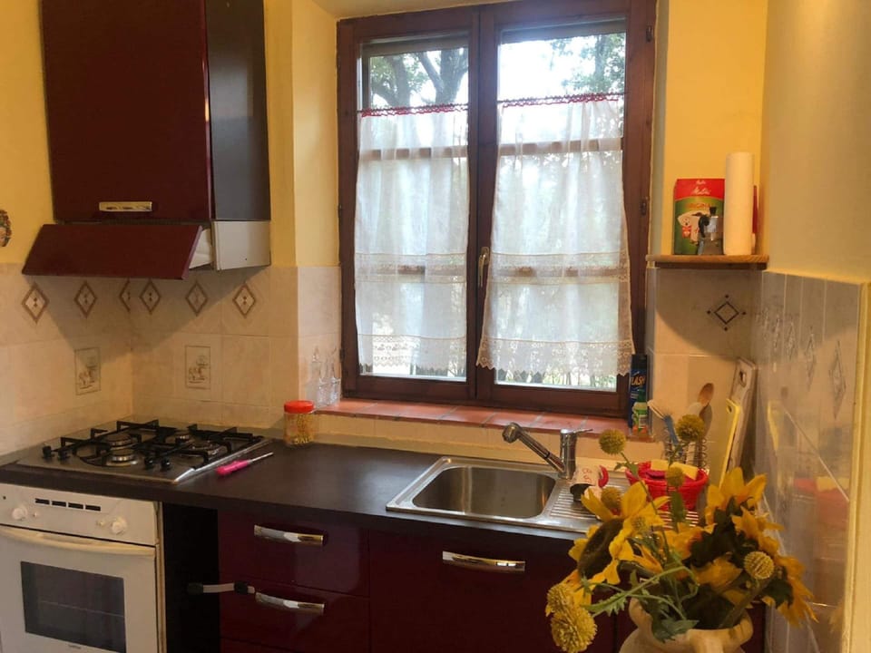 House | Private kitchen | Highchair