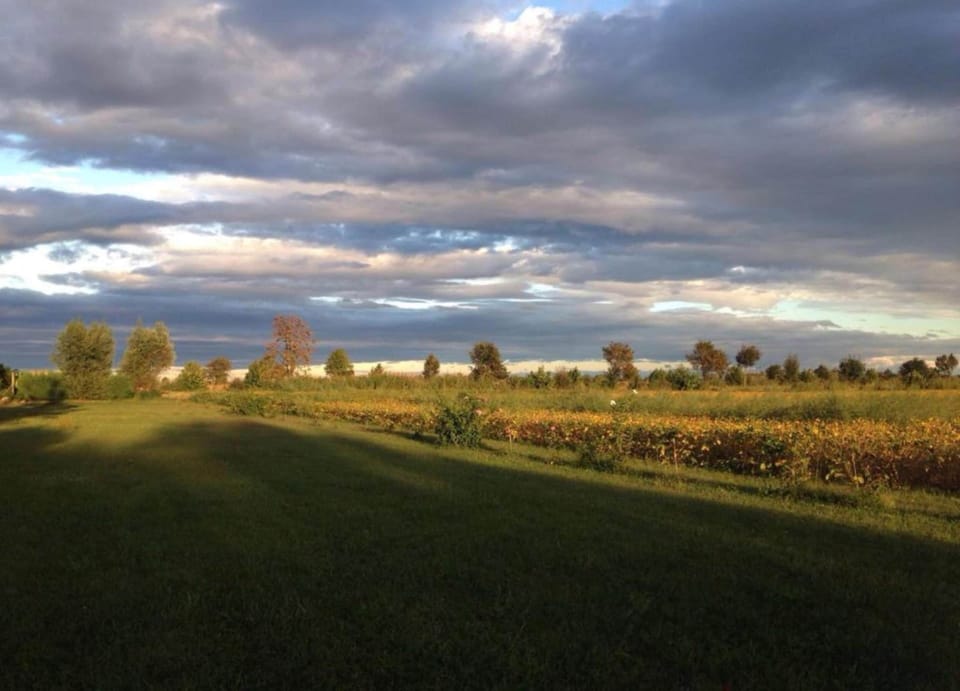 Villa | View from property