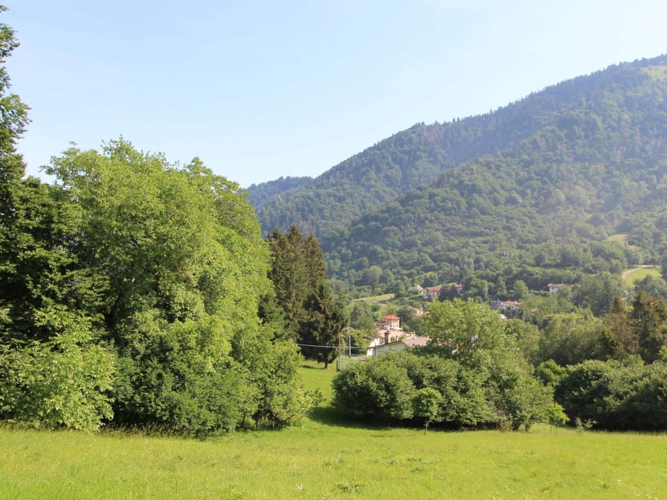 House | View from property