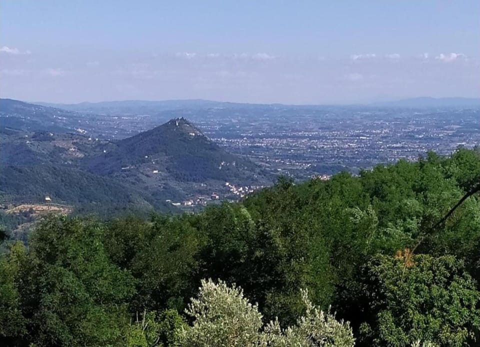 Chalet | View from property