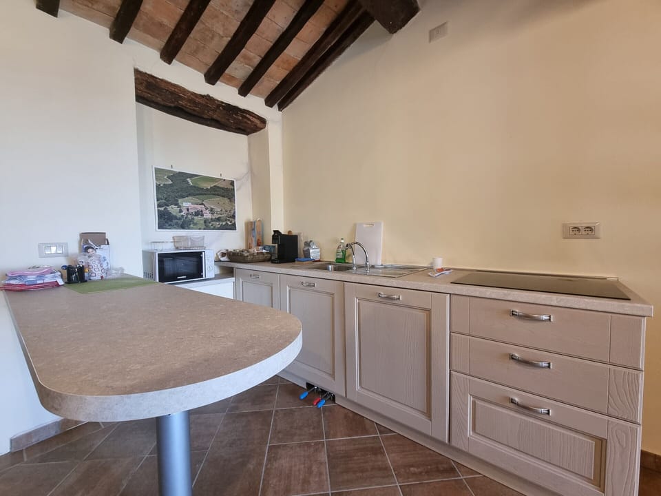 House | Private kitchen | Highchair