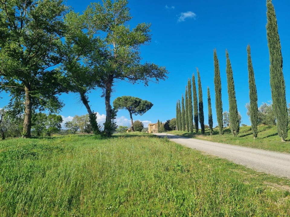 House | View from property
