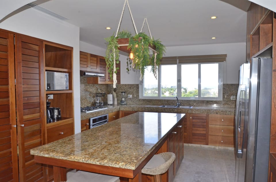 Deluxe Apartment | Private kitchenette | Coffee/tea maker, dining tables